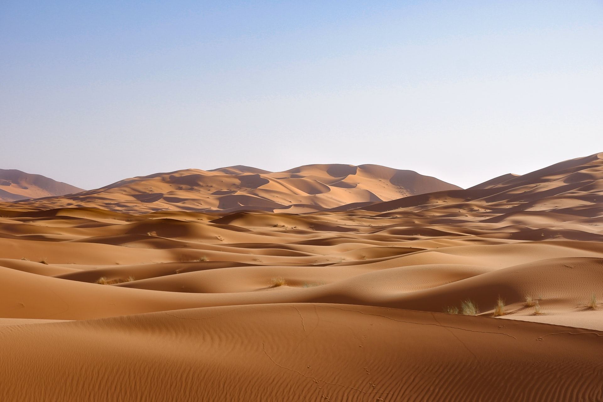 zdjęcie pustyni z piaszczystymi wydmami.